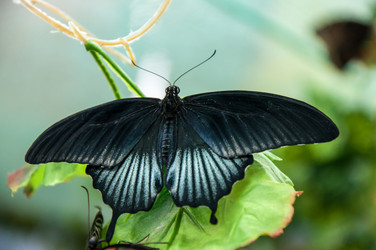 Similar image 5445987