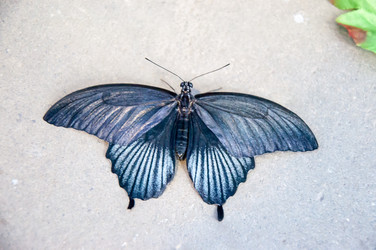 Similar image 5445989