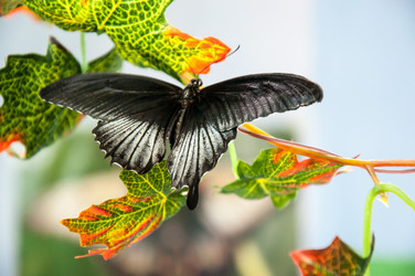 Similar image 5445990