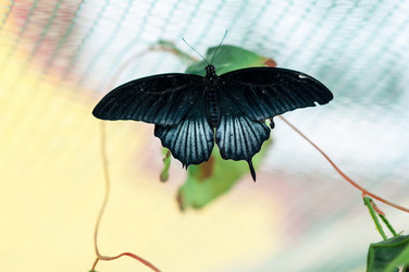 Similar image 5445993