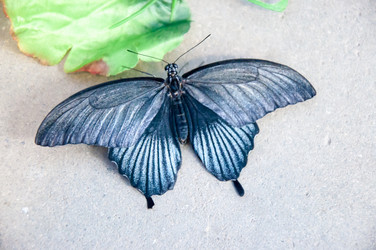 Similar image 5445994