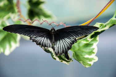 Similar image 5445995