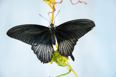 Similar image 5445997