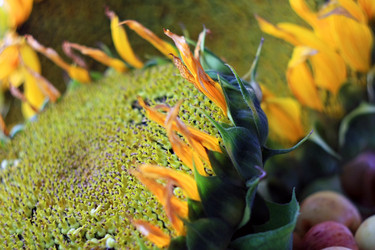 Similar image 5462062