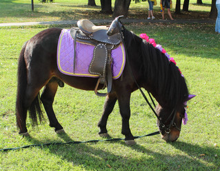 Similar image 5462069