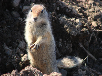 Similar image 5462117