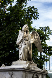 Similar image 5462182