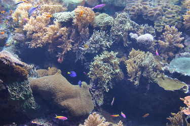 Similar image 5462195