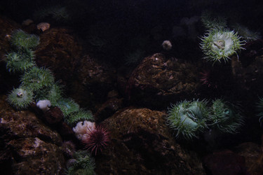 Similar image 5462196