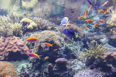 Similar image 5462197