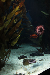 Similar image 5462198