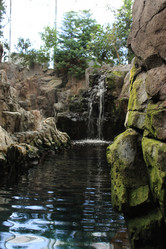 Similar image 5462199