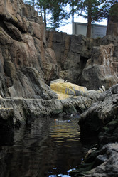 Similar image 5462200