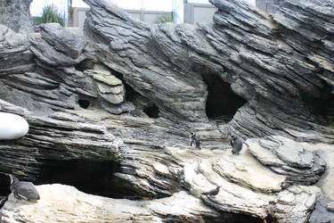 Similar image 5462201