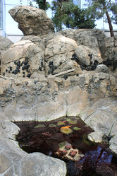 Similar image 5462202