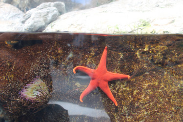 Similar image 5462204