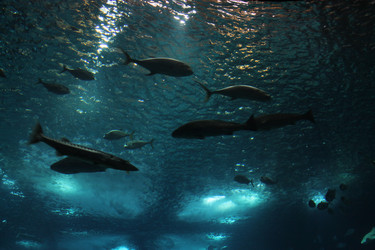 Similar image 5462206