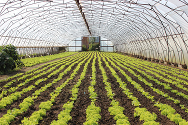 Similar image 5462222