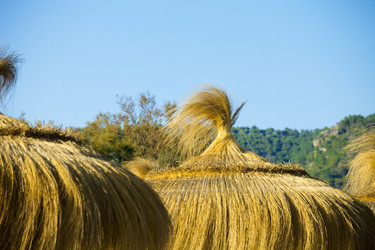 Similar image 5462227