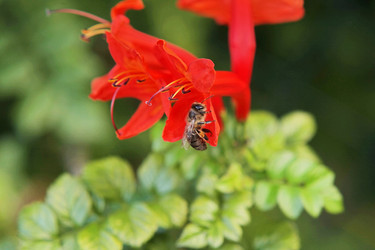 Similar image 5462229