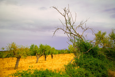 Similar image 5462236