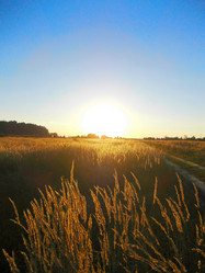 Similar image 5462240