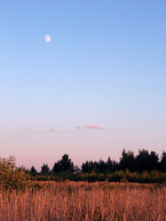 Similar image 5462241