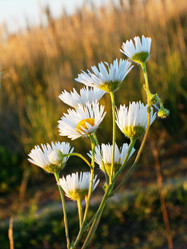 Similar image 5462242