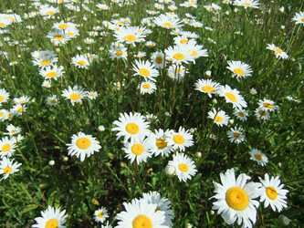 Similar image 5462243