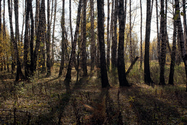 Similar image 5462245