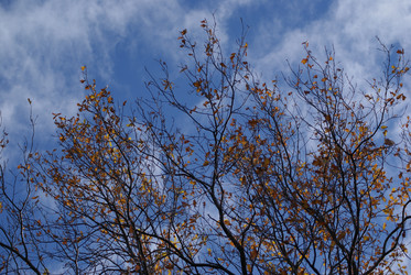 Similar image 5462246