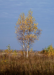 Similar image 5462248