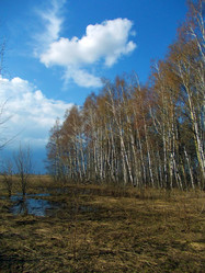 Similar image 5462253