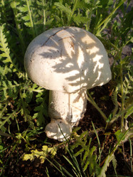 Similar image 5462291