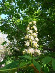 Similar image 5462292