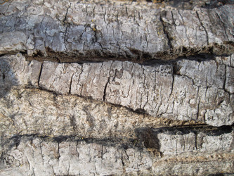 Similar image 5462296