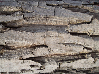 Similar image 5462298