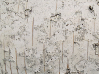 Similar image 5462299