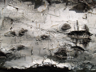 Similar image 5462300