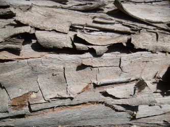 Similar image 5462305