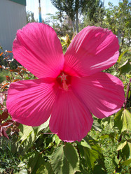 Similar image 5462326