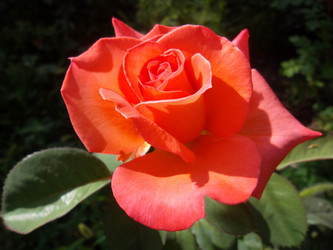 Similar image 5462327