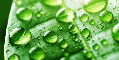 Similar image 5462389