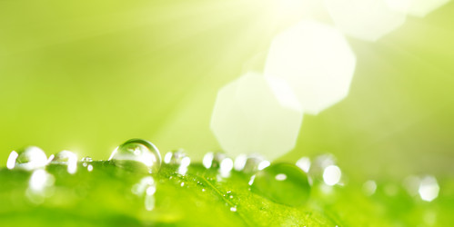 Similar image 5462398