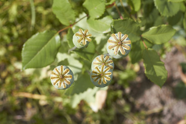 Similar image 5462561