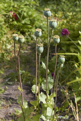 Similar image 5462566