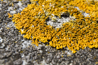 Similar image 5462568