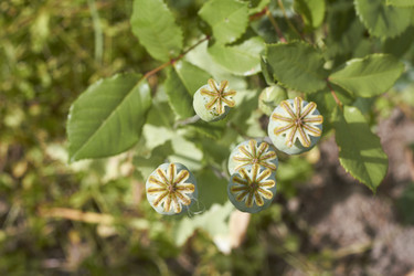 Similar image 5462570