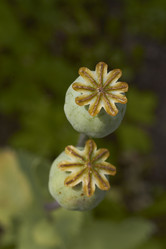 Similar image 5462572