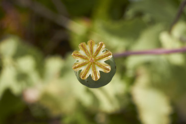 Similar image 5462574